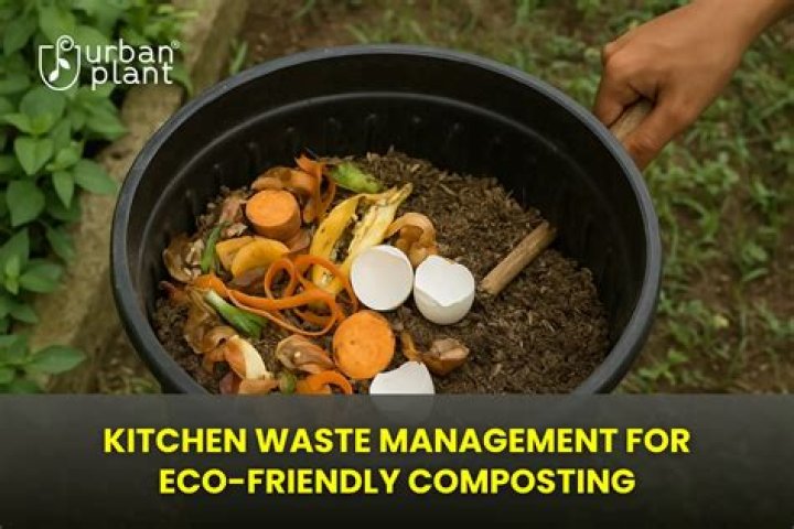 Is composting eco friendly? | ContextResponse.com