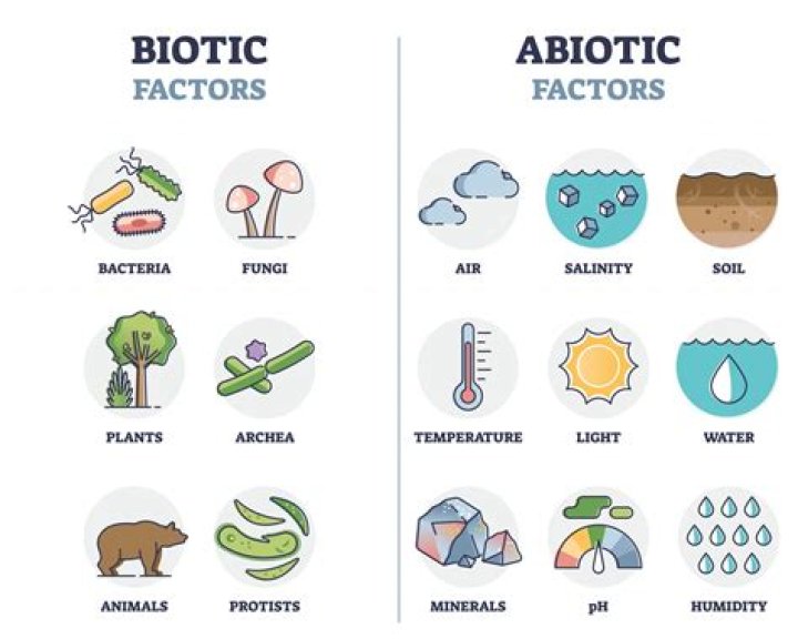 Is Desert abiotic or biotic?