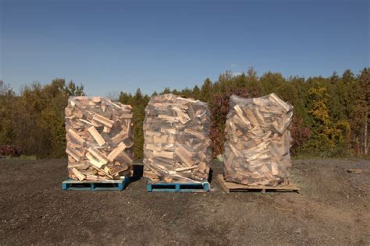 Is Driftwood good for firewood?