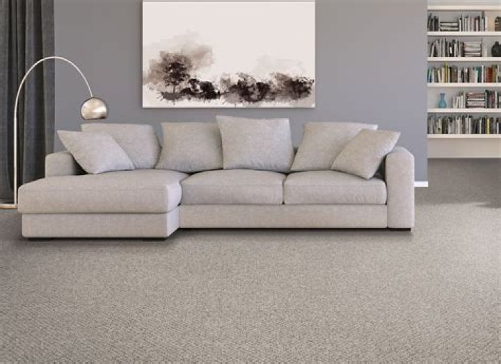 Is EverStrand carpet good? | ContextResponse.com
