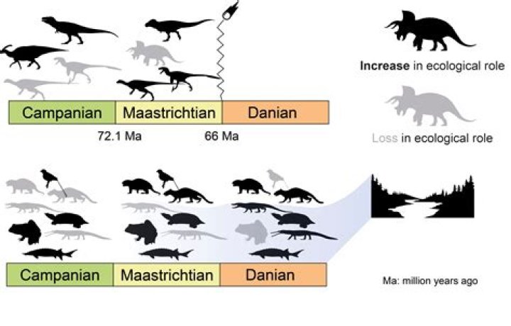 Is extinction a part of evolution?