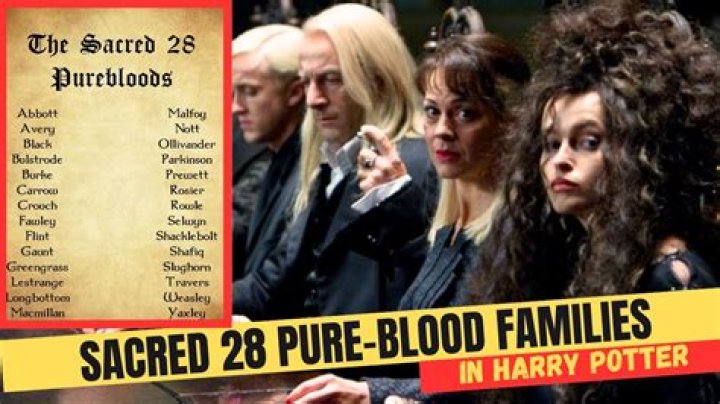 Is Harry a pureblood wizard?