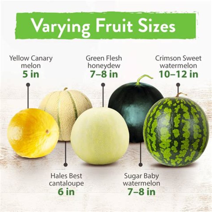 Is honeydew melon and cantaloupe good for you?