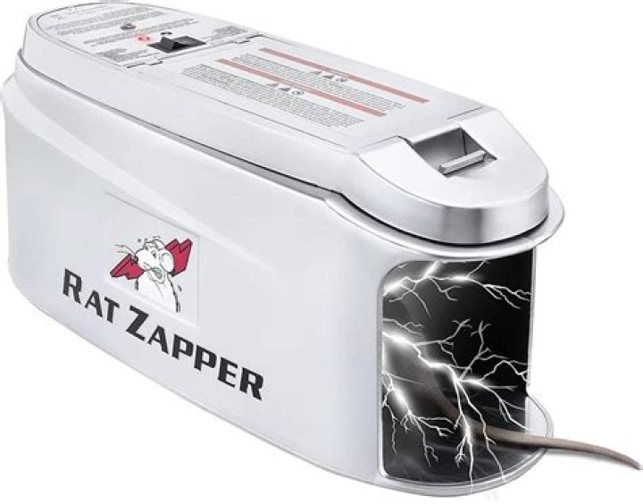 Is it OK to vacuum rat droppings?