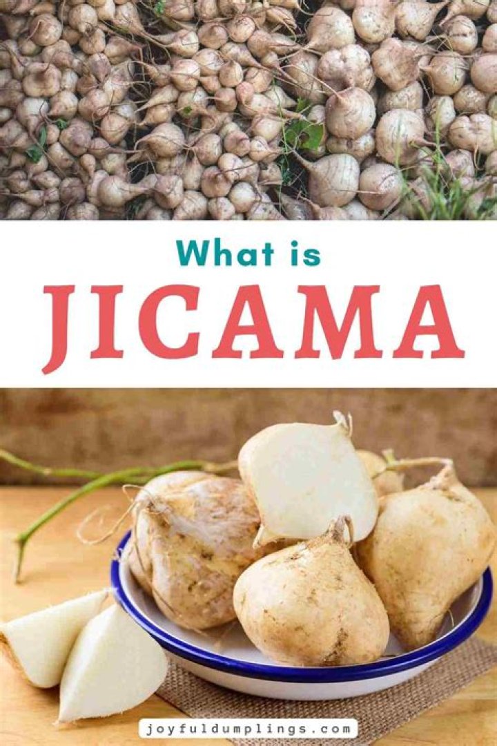 Is jicama a legume?