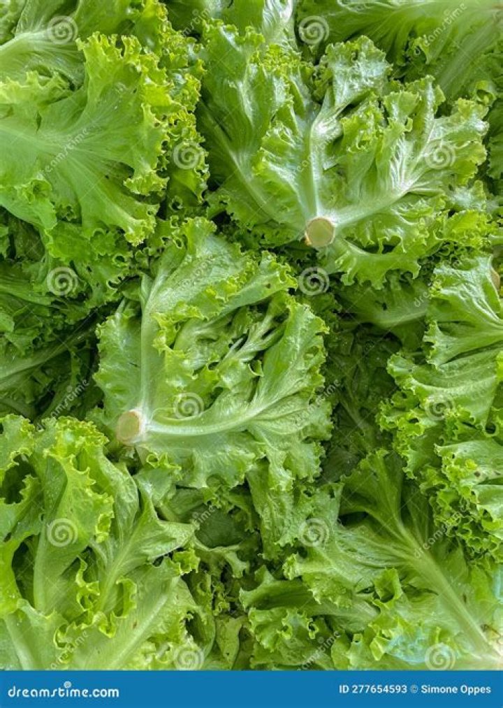 Is lettuce a raw vegetable?