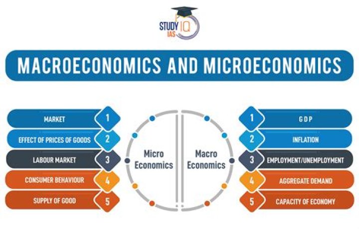 Is macro or micro first?