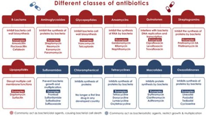 Is macrodantin and Macrobid the same thing?