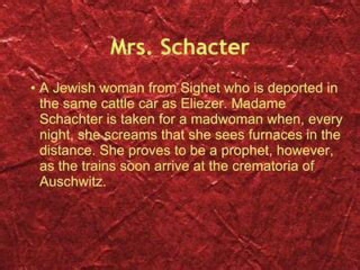 Is Madame Schachter a madwoman a prophet or a witness?
