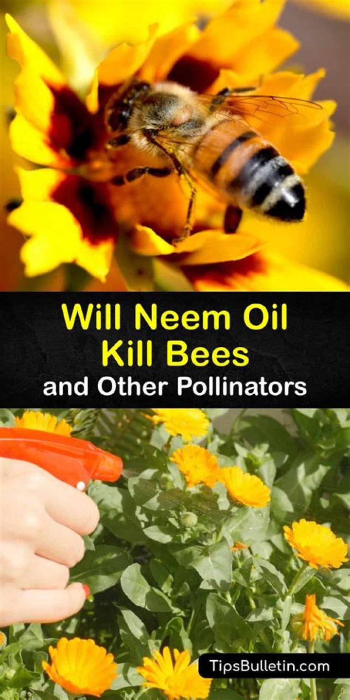 Is Neem oil safe for honey bees?
