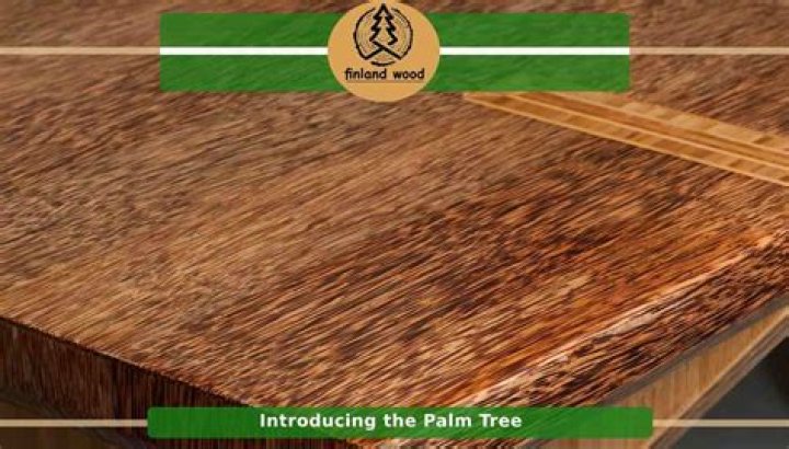Is palm tree wood good for anything?