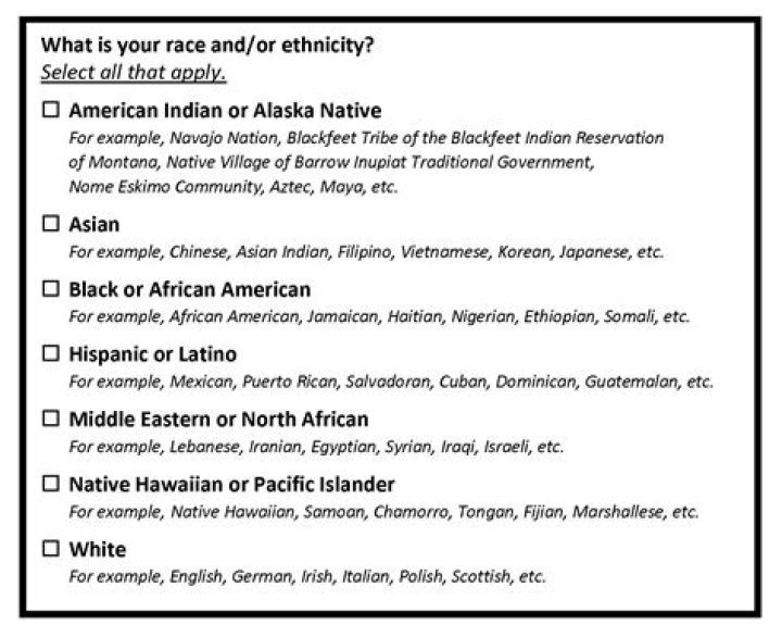 Is polish a race or ethnicity?