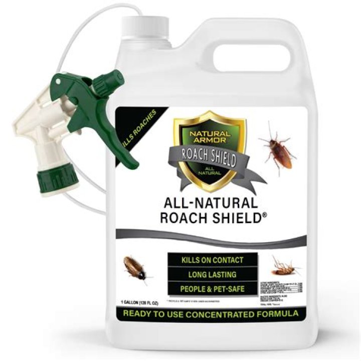 Is Raid roach spray safe for humans?