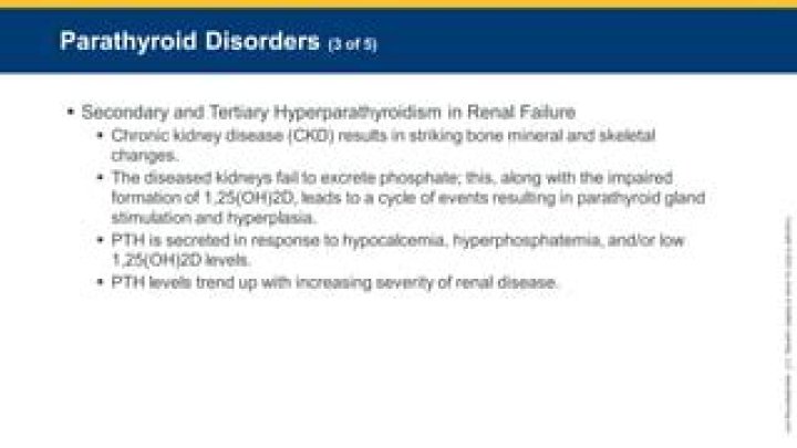 Is secreted in response to hypocalcemia?