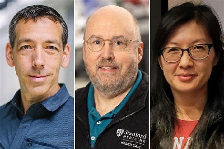 Is Stanford better than UCSF?