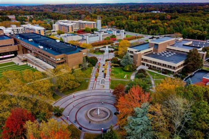 Is Stony Brook a Division 1 school?