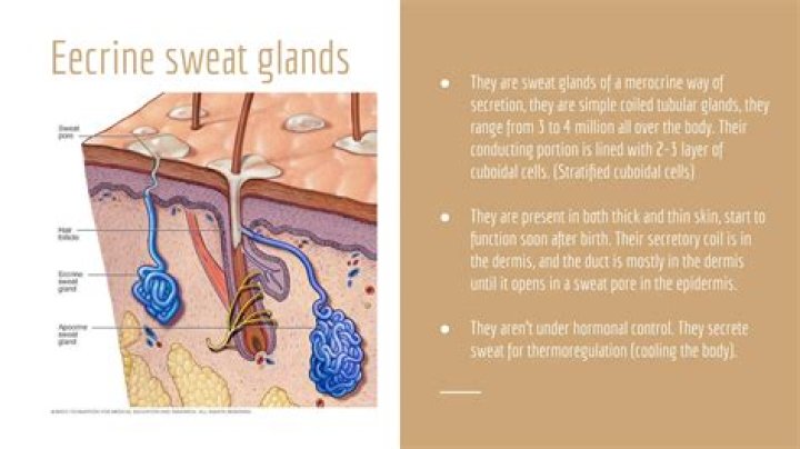 Is sweat a protein stain?