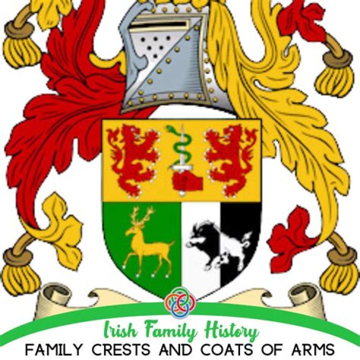 Is there a Family Tree DNA app?