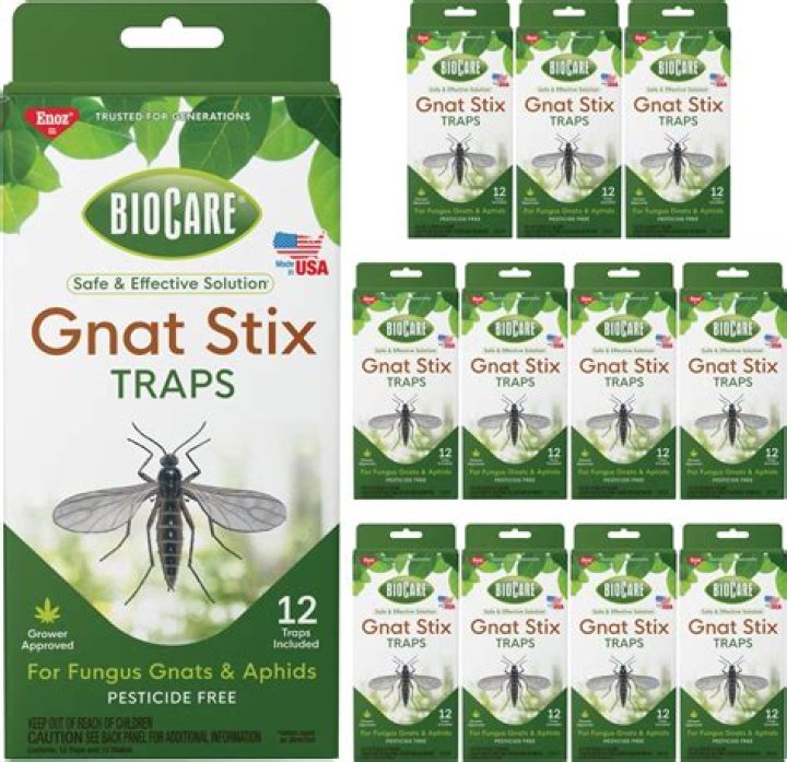 Is there an insecticide for gnats?