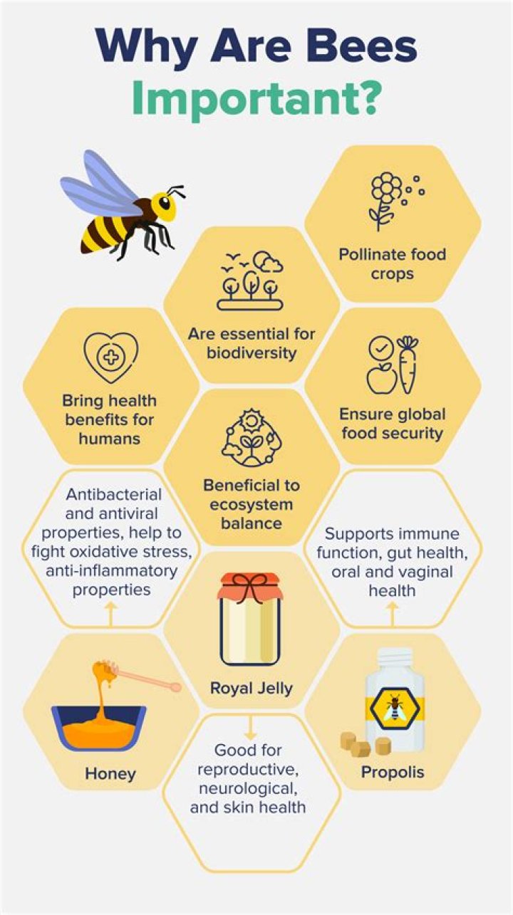 Is thuricide harmful to bees?