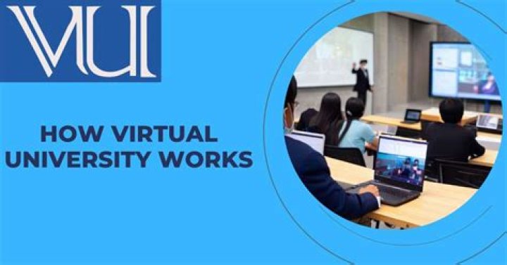 Is virtual university a government university?
