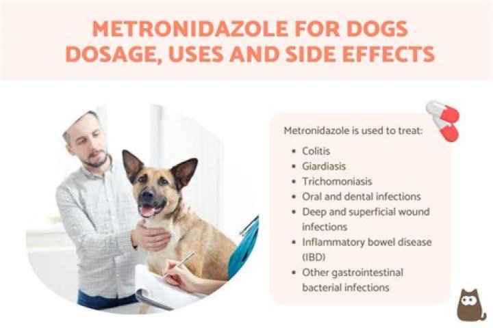 Should metronidazole for dogs be refrigerated?