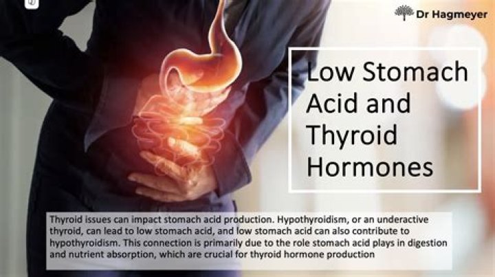 Should tramadol be taken on an empty stomach?