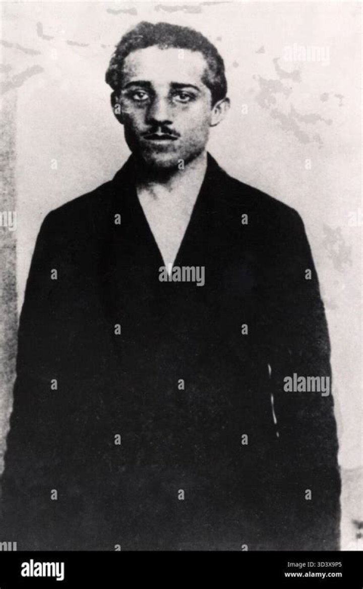 Was Gavrilo Princip a member of the Black Hand?
