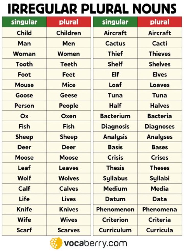 What's the plural of library?