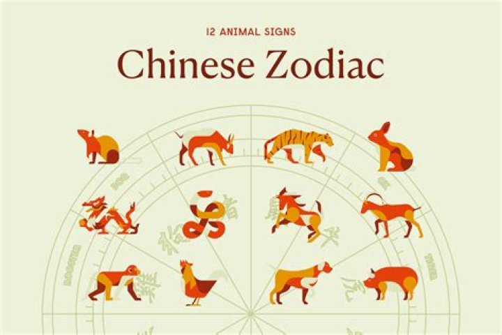 What animal is H?