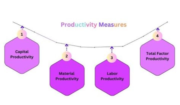 What are 3 ways primary productivity can be measured?