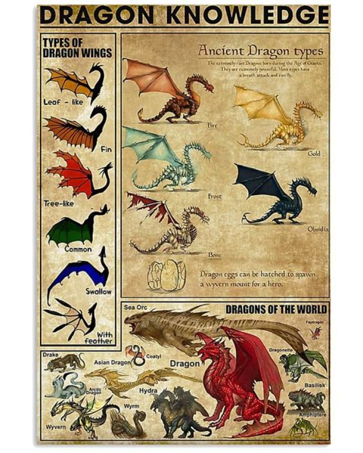 What are all the types of dragons in Wings of Fire?