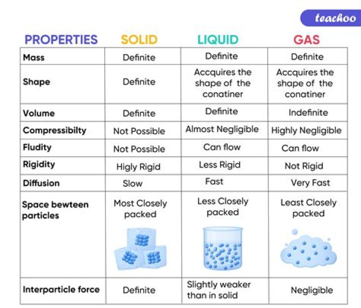 What are both liquids and gases called fluids?
