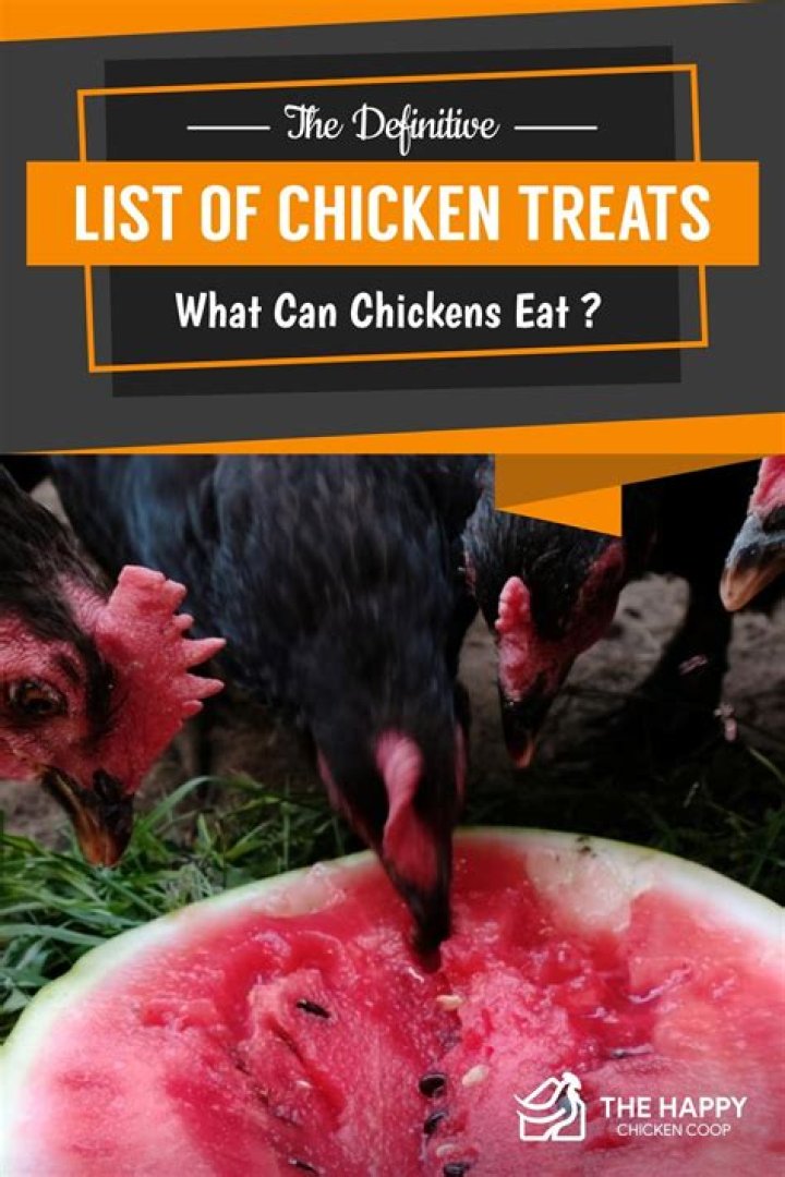 What are chickens favorite treats?