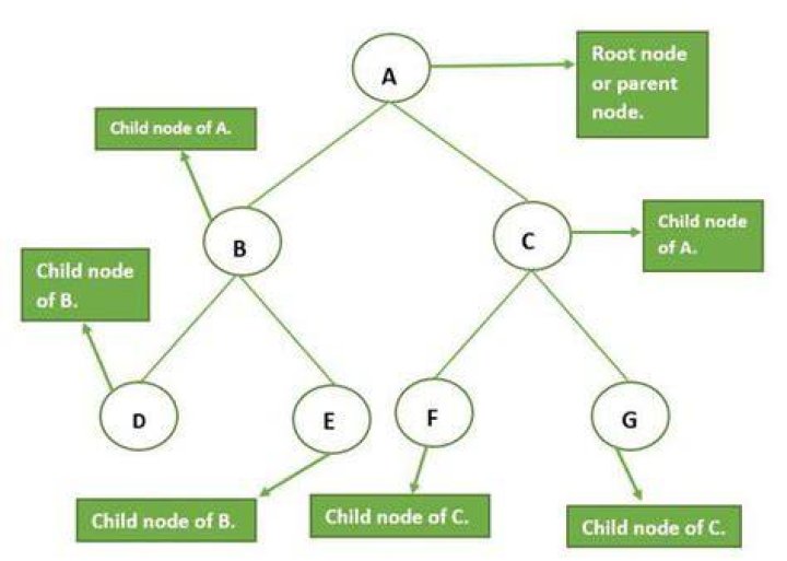 What are child nodes?