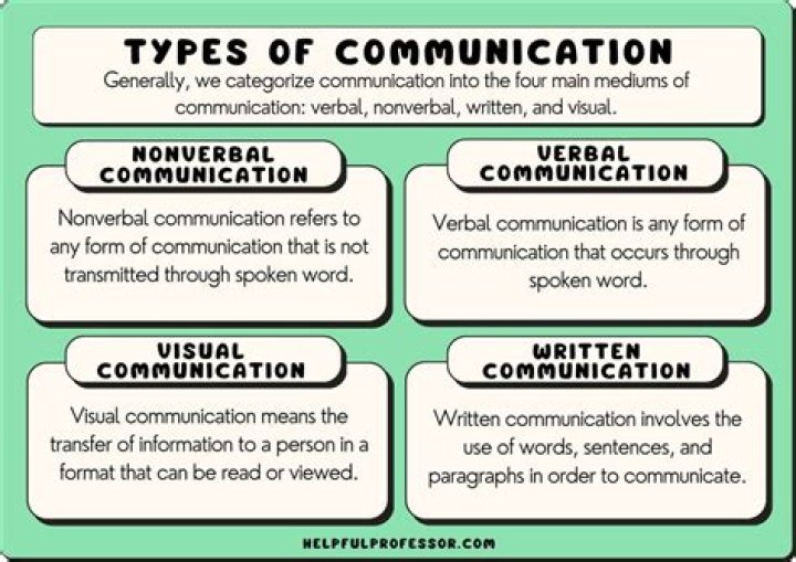 What are different types of cartoons?