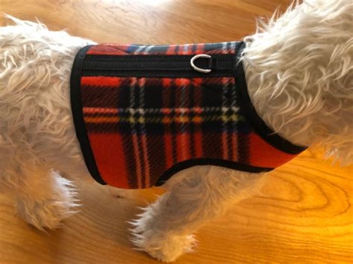 What are dog harnesses made of?
