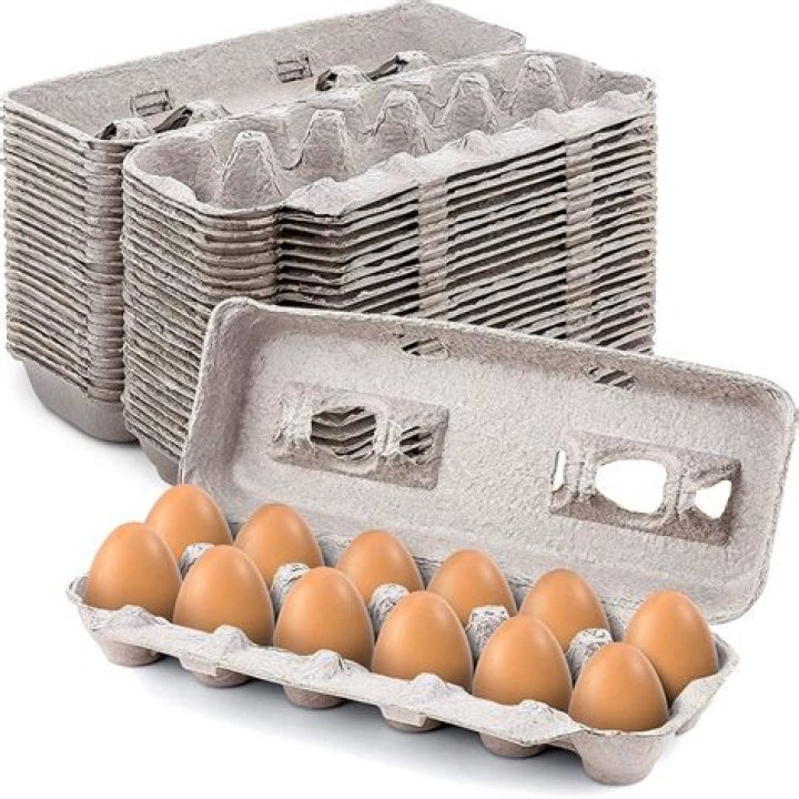 What are foam egg cartons made of?