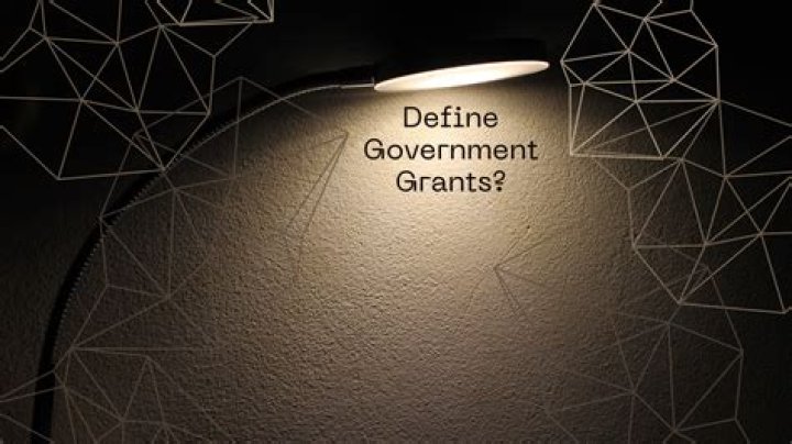 What are government grants?