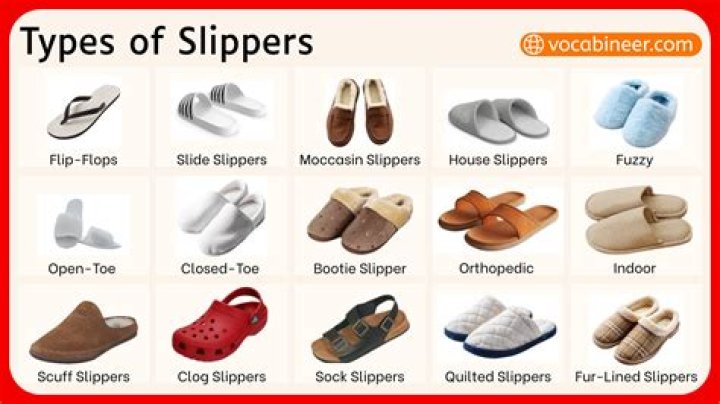 What are Indian slippers called?