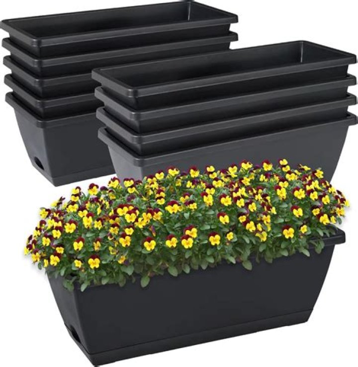 What are plant liners? | ContextResponse.com