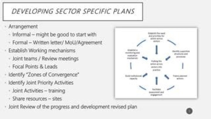 What are sector specific plans?