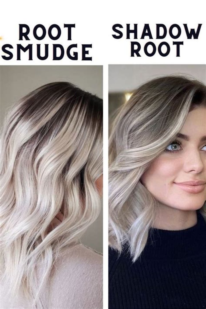 What are shadow roots?