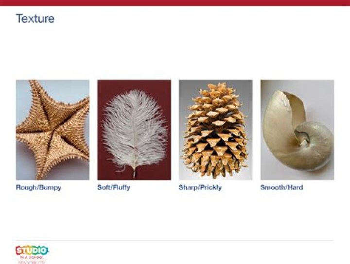 What are some examples of independence?