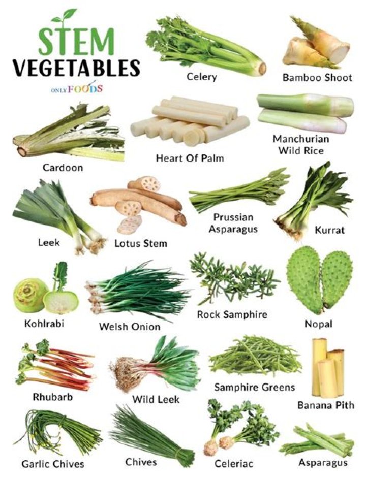 What are some examples of stem vegetables?