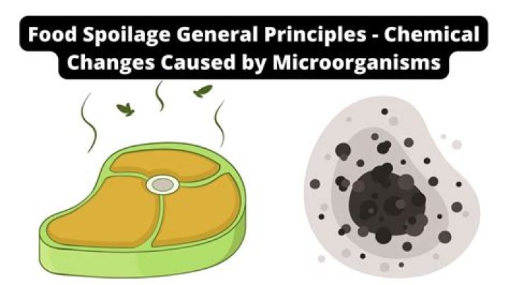 What are spoilage microorganisms? | ContextResponse.com