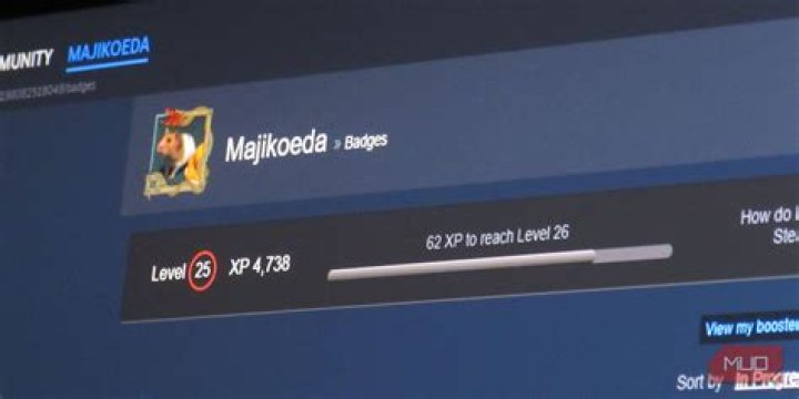 What are steam levels?