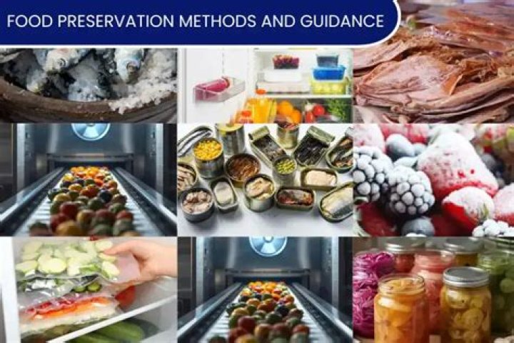 What are the 10 methods of food preservation?
