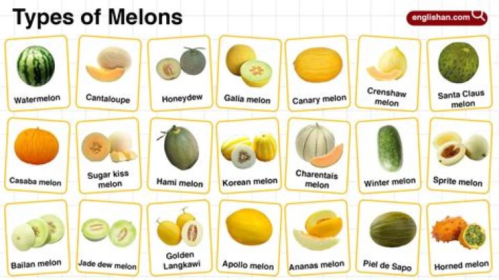 What are the 3 types of melons?
