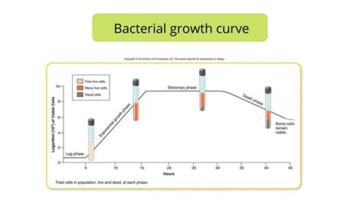 What are the 5 conditions required for bacterial growth?